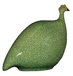 Guinea Fowl - Pintade<br>Green Speckled Yellow